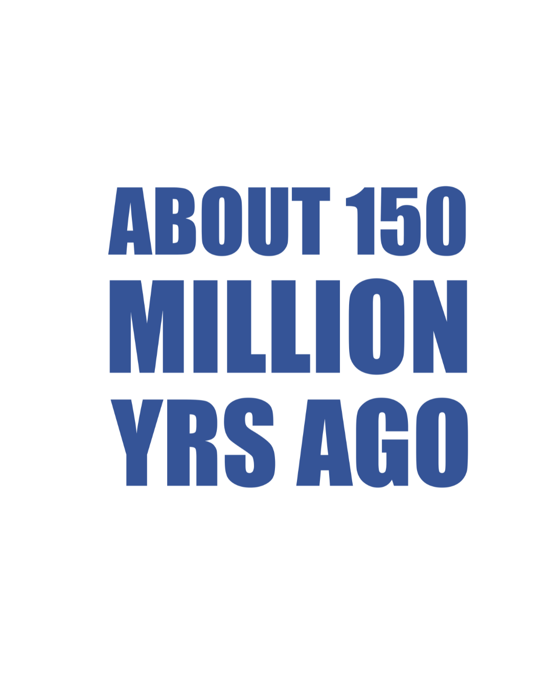 *LIMITED EDITION* Judy's Dinosaurs Tshirt