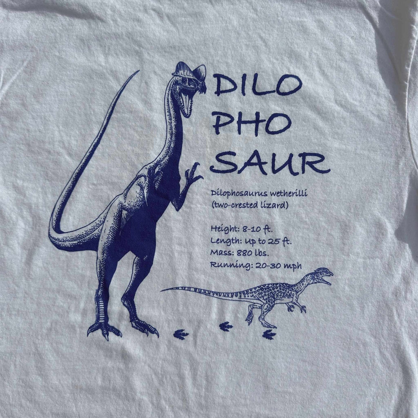 Dilophosaur Tshirt by Russell