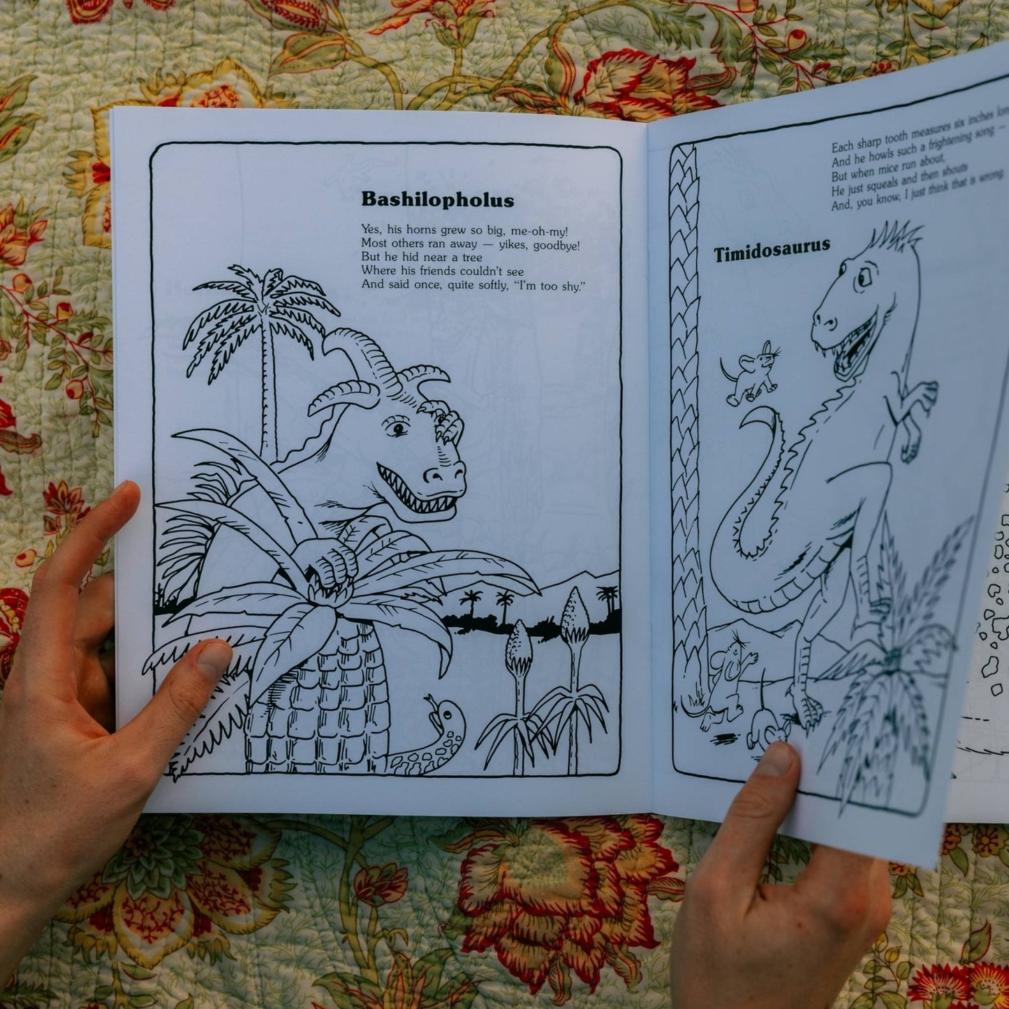 Sillysaurs Coloring Book by Gary