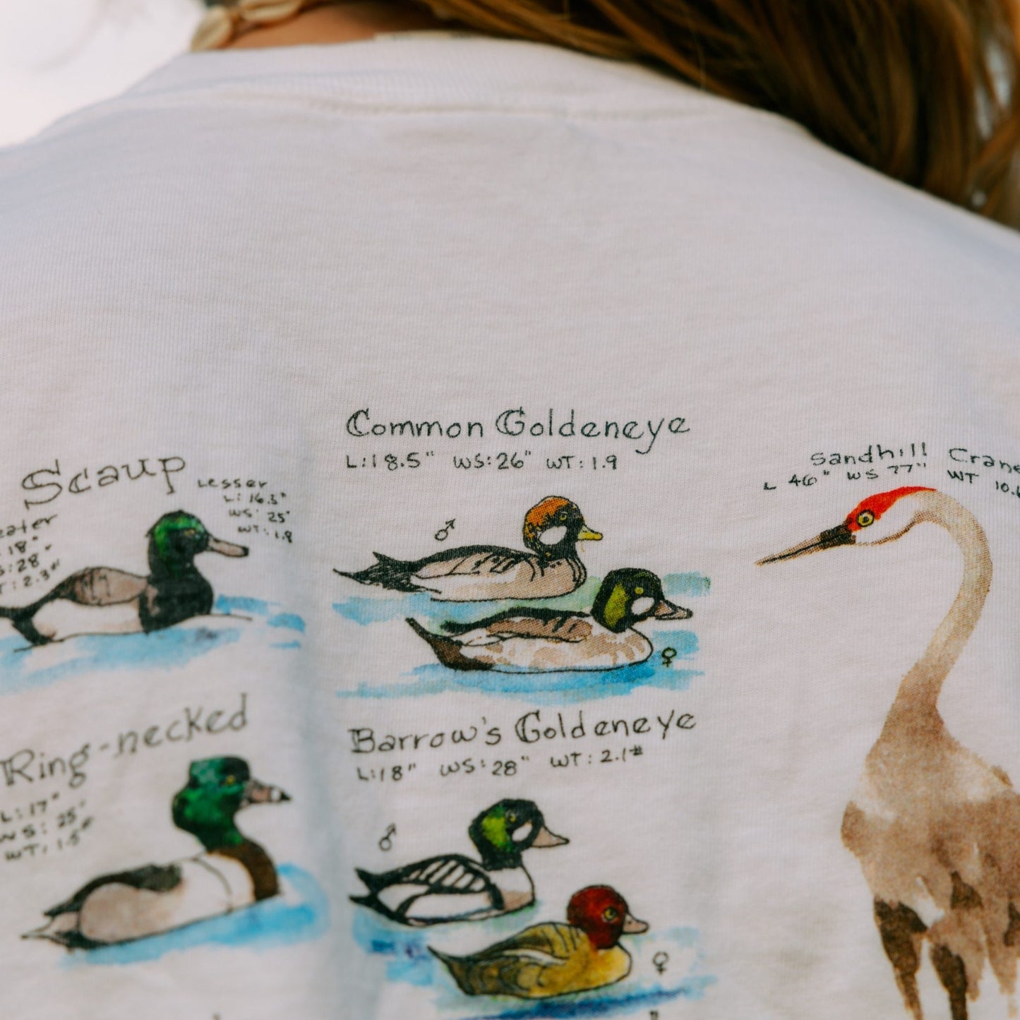 Feathered Friends Tshirt by Colette