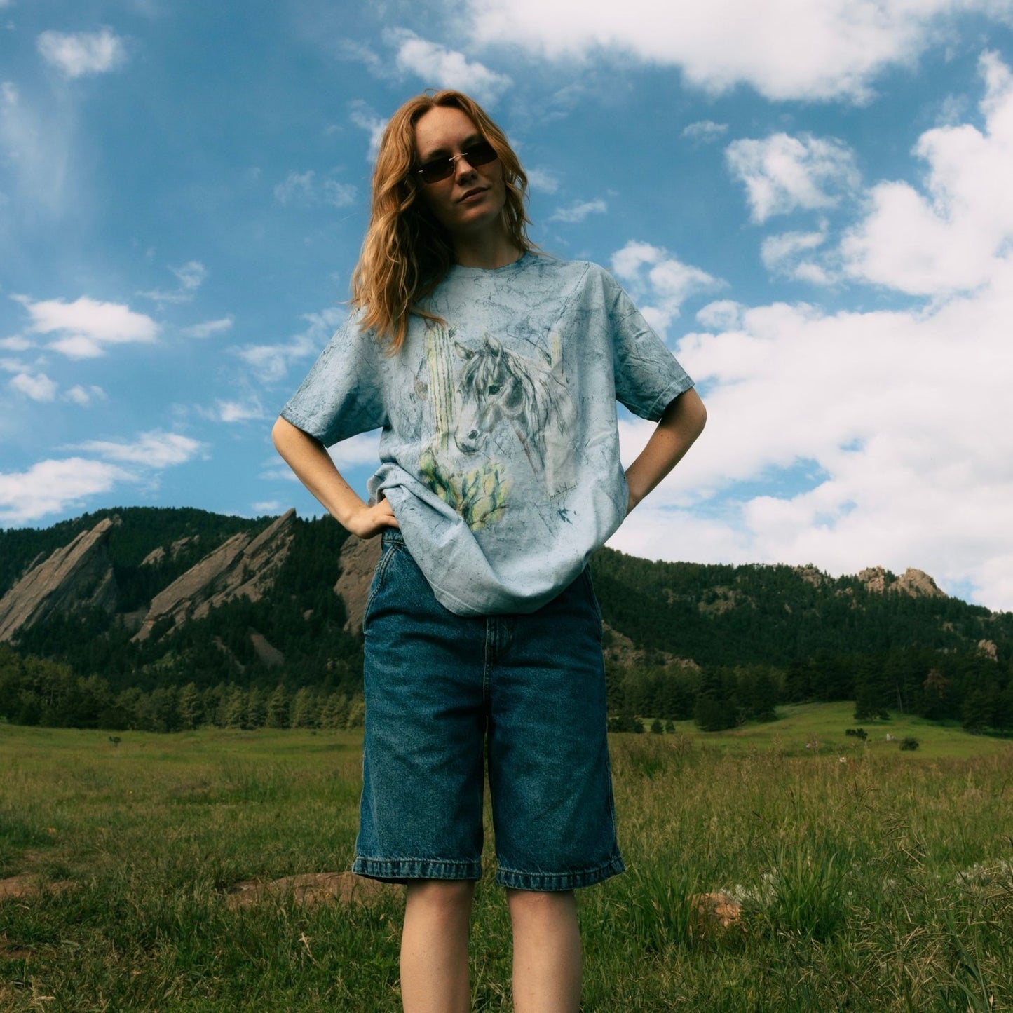 Desert Horse Tshirt by Marita