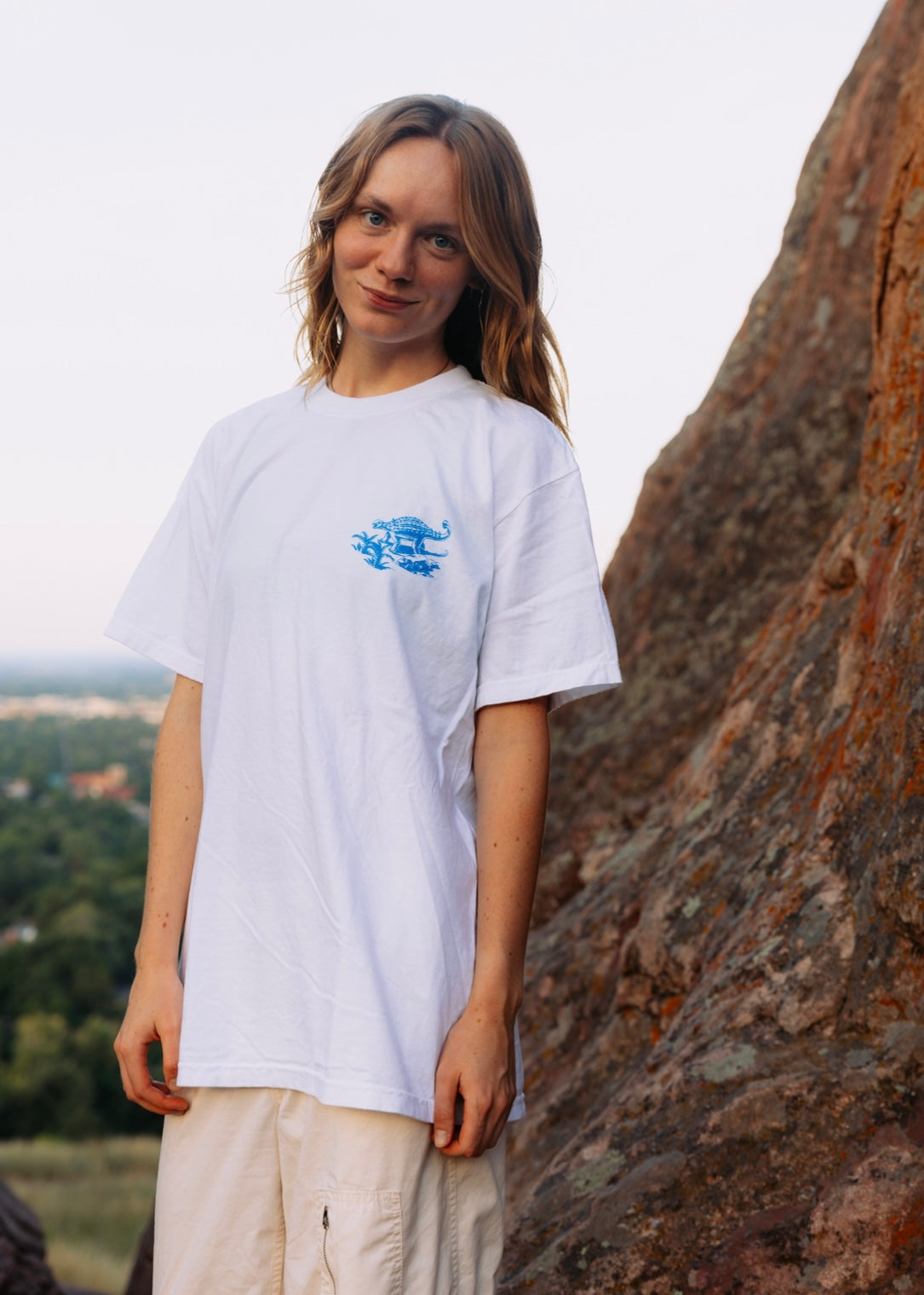 Ankylosaurus Tshirt by Judy & Gary