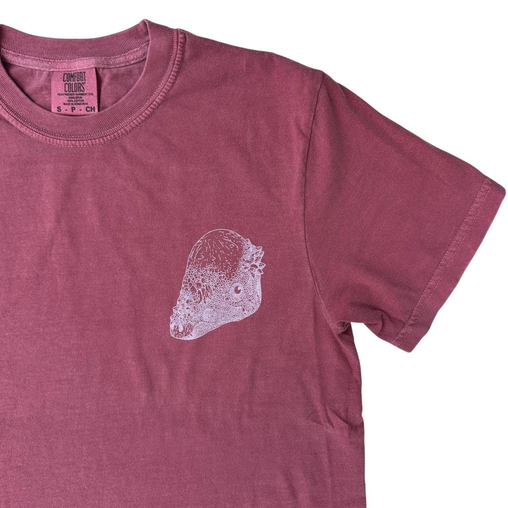 Pachycephalosaurus Tee by Russell - ArtFair Apparel