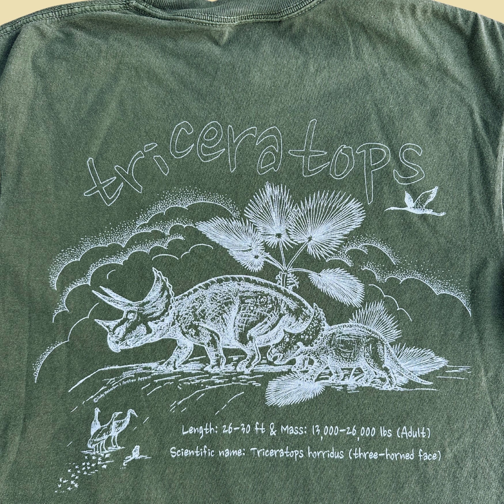 Triceratops Tee by Judy Peterson
