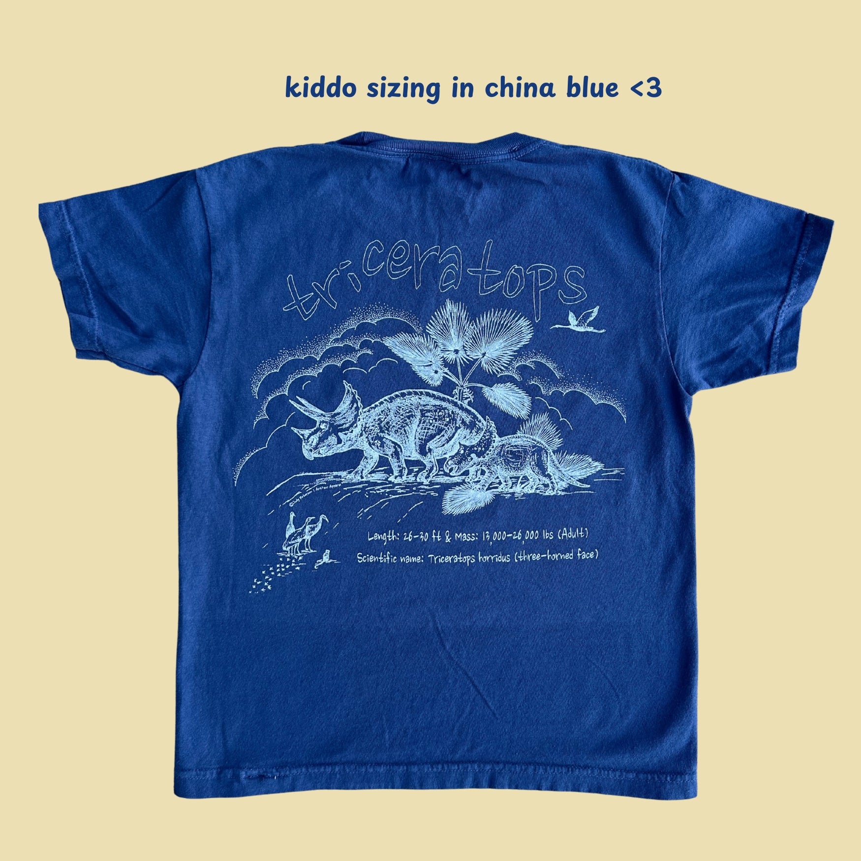 Triceratops Tee by Judy Peterson