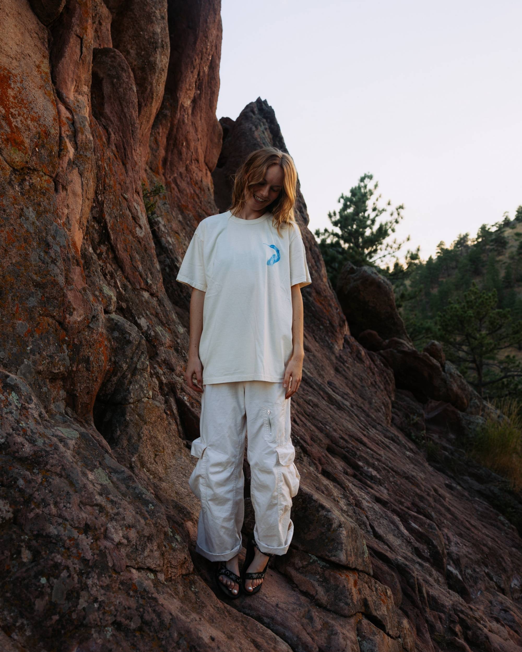 The Anhinga Bird Tshirt by Reno