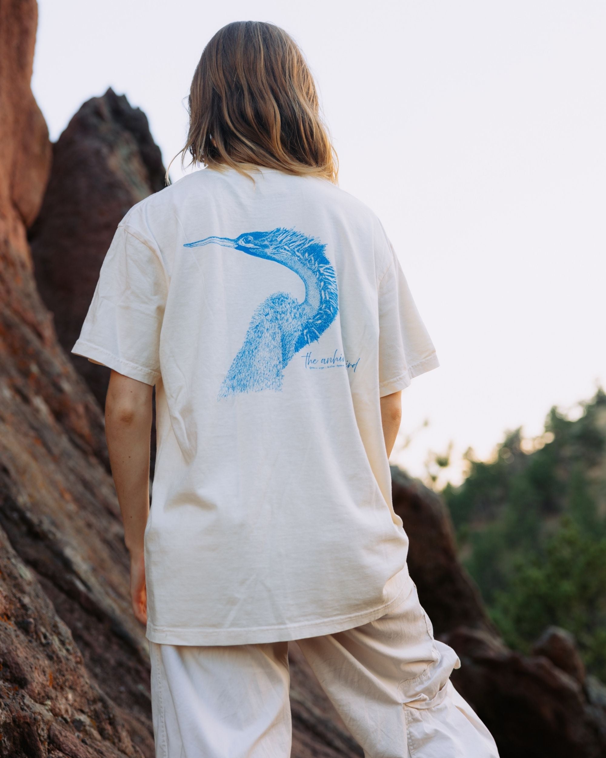The Anhinga Bird Tshirt by Reno