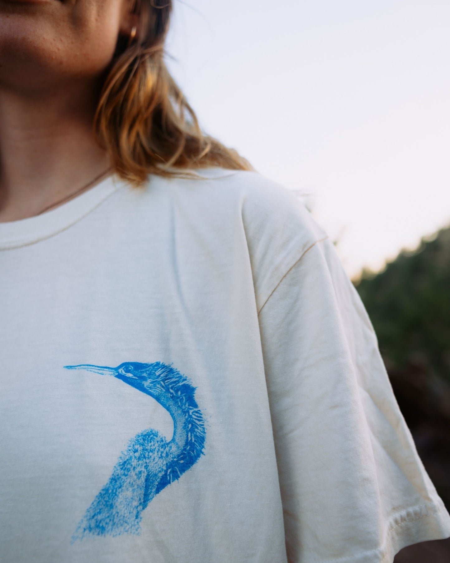 The Anhinga Bird Tshirt by Reno