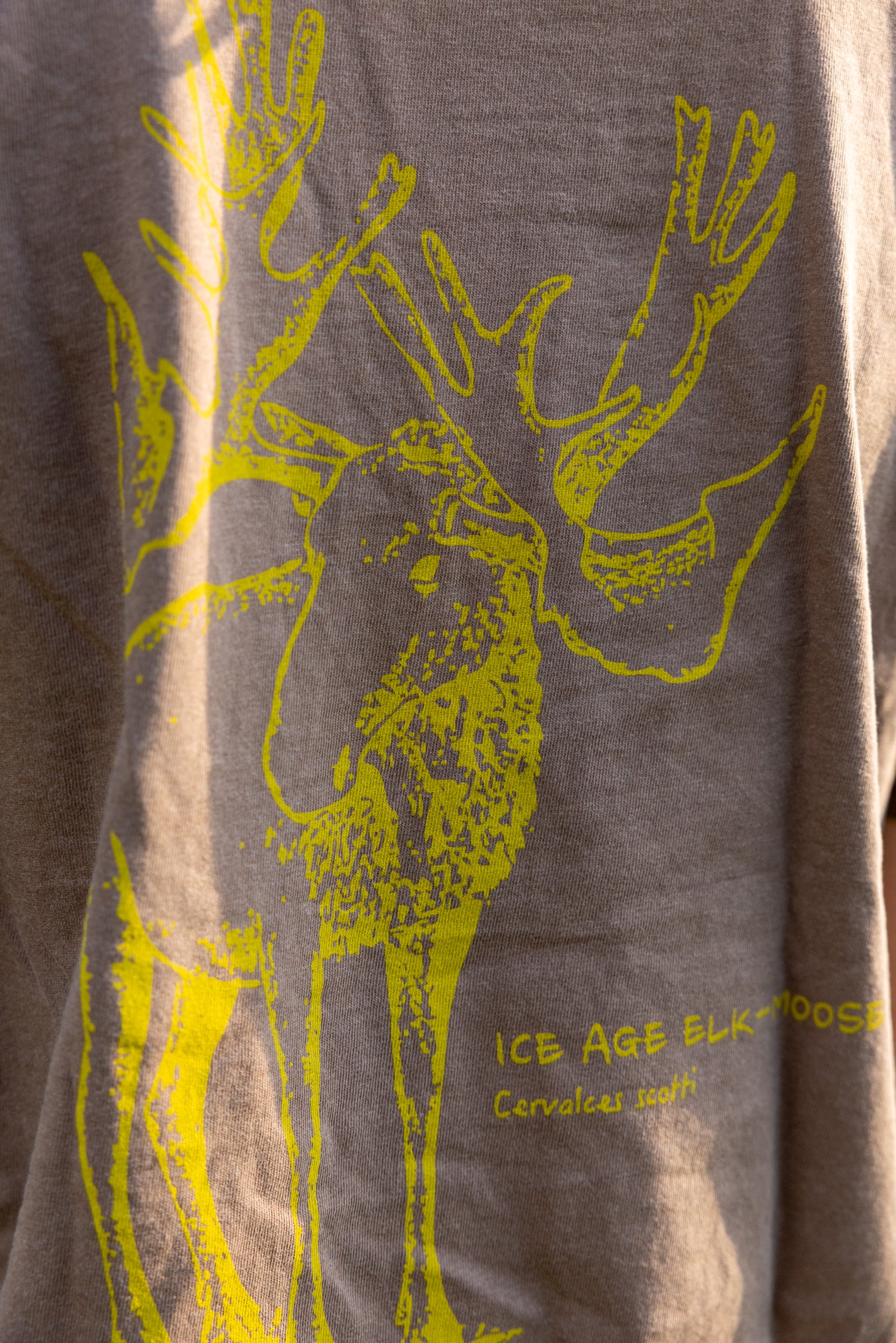 Ice Age Elk-Moose Tshirt by Judy