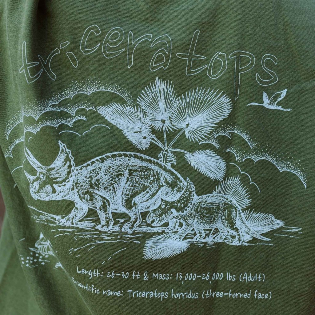 Triceratops Tee by Judy Peterson - ArtFair Apparel
