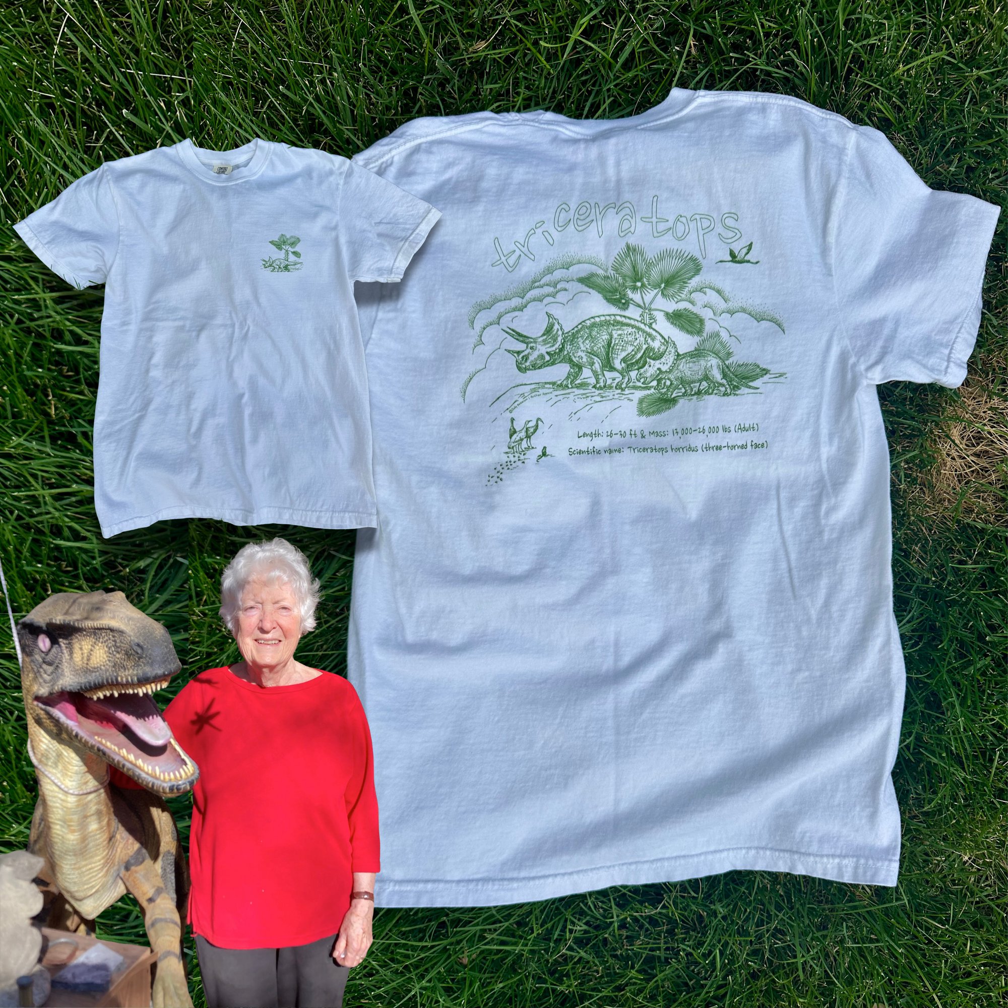 *LIMITED EDITION* Triceratops Tee by Judy Peterson